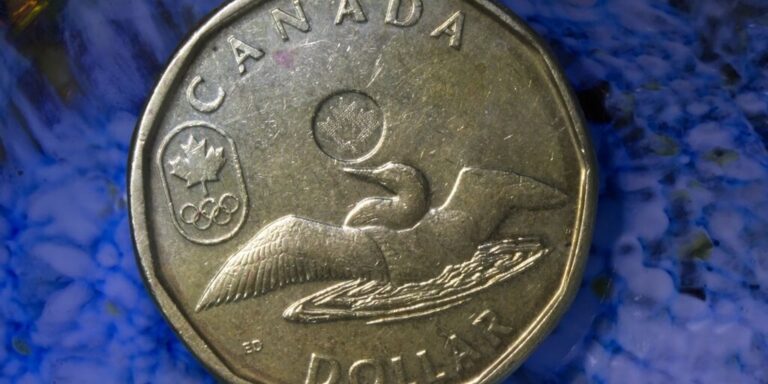 canada loonie cbdc gID 7