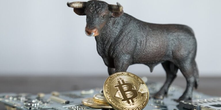 bull bitcoin halving coronavirus 1 gID 7