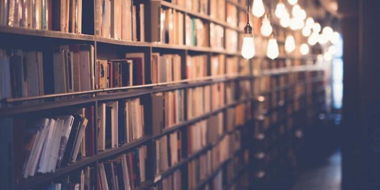 library shelves lined with books