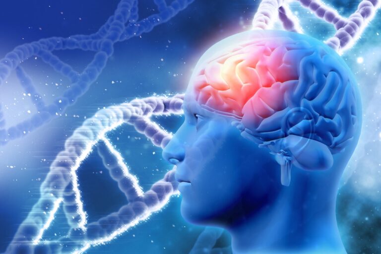 brain dna genetics