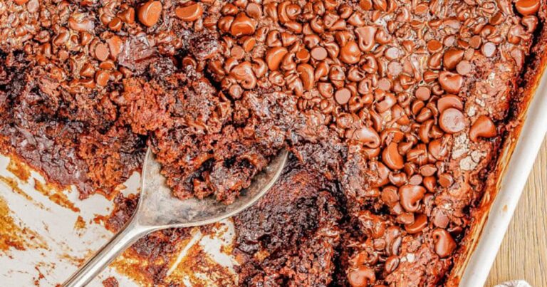 chocolatedumpcake 8 800x1200